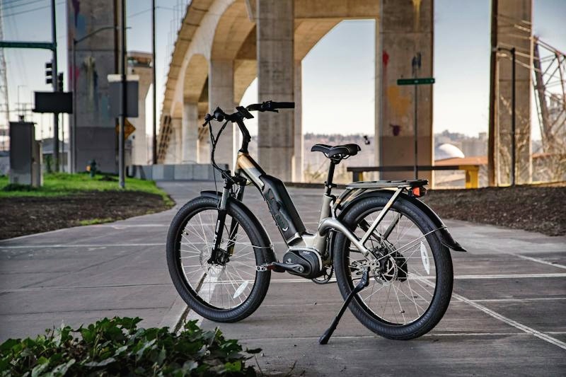 5 Raisons Convaincantes d'Opter pour un Vélo Électrique