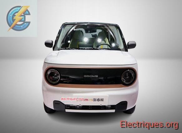 geely panda mini électrique
